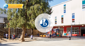 Verificació del Programa IB