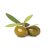ACEITUNA