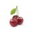CEREZA